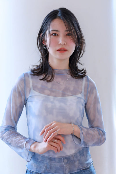 シアーレイヤー メイン画像