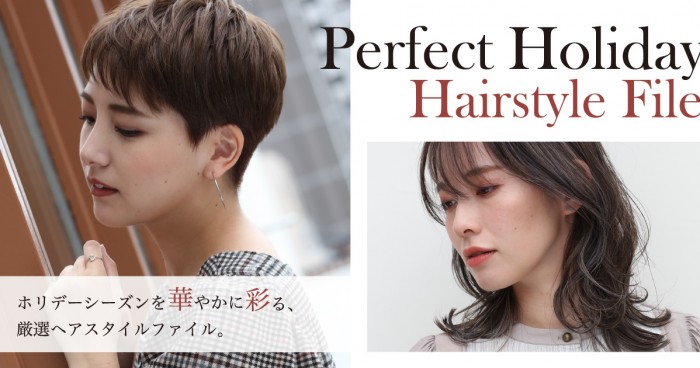 Perfect Holiday Hairstyle File