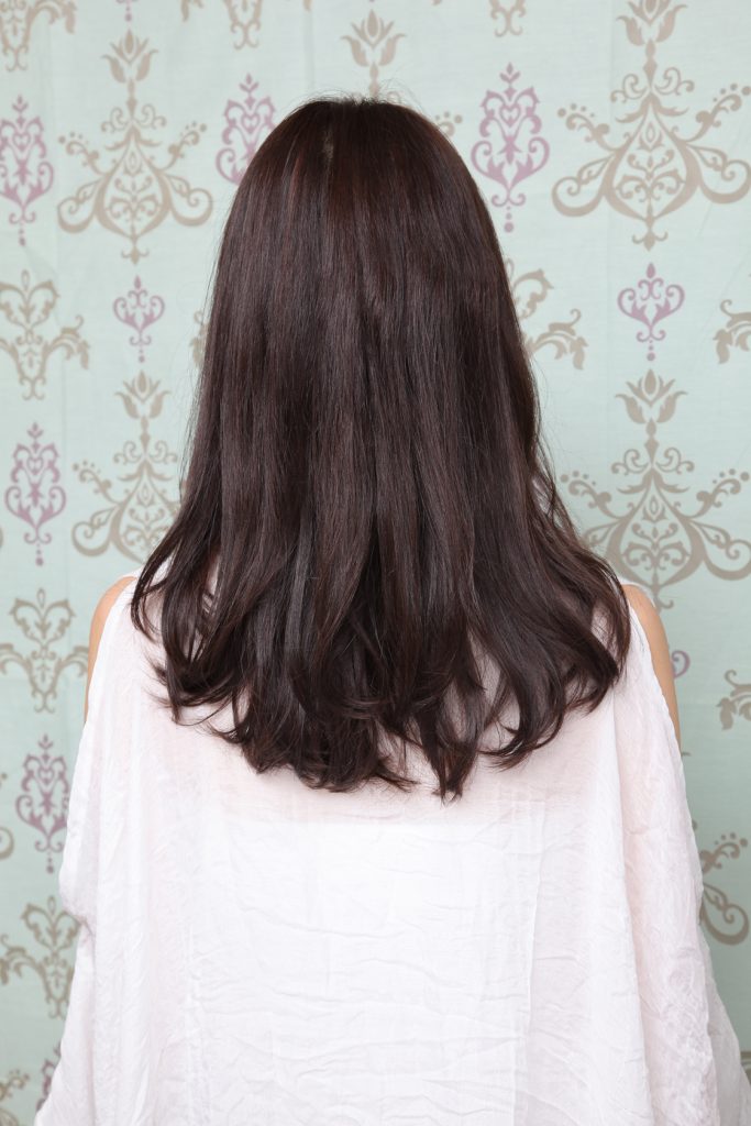 知的系レイヤー