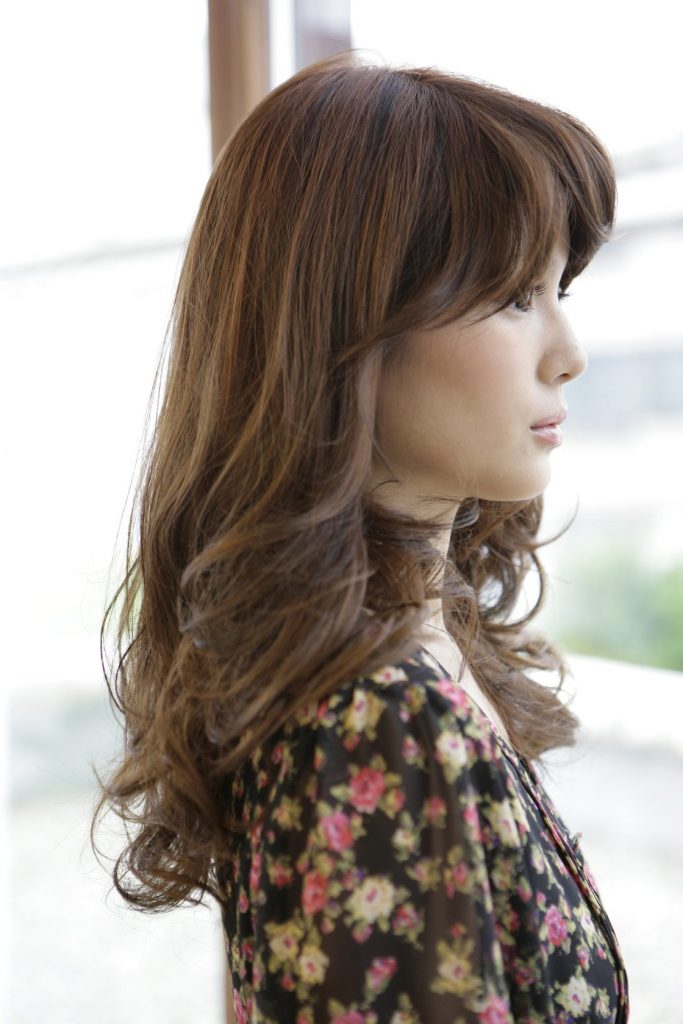 ドーリーカール