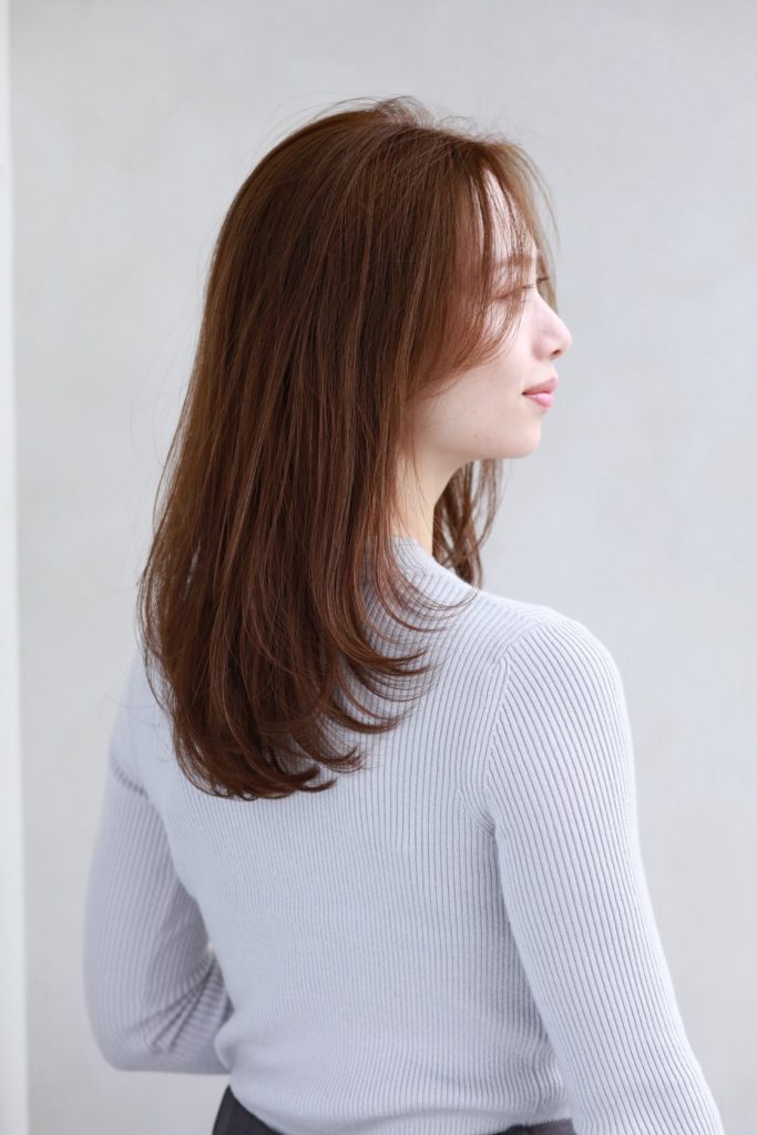 ヘルシーレイヤー